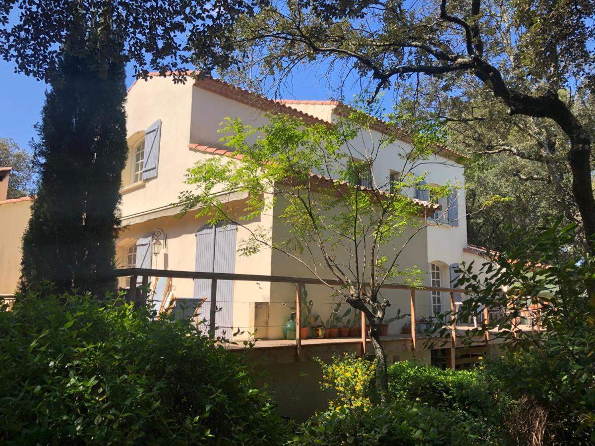 Magnifique Demeure Familiale Βίλα Castries Εξωτερικό φωτογραφία