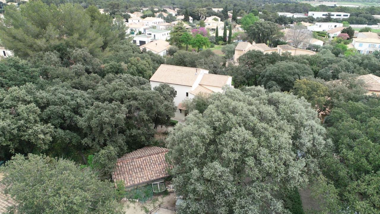 Magnifique Demeure Familiale Βίλα Castries Εξωτερικό φωτογραφία