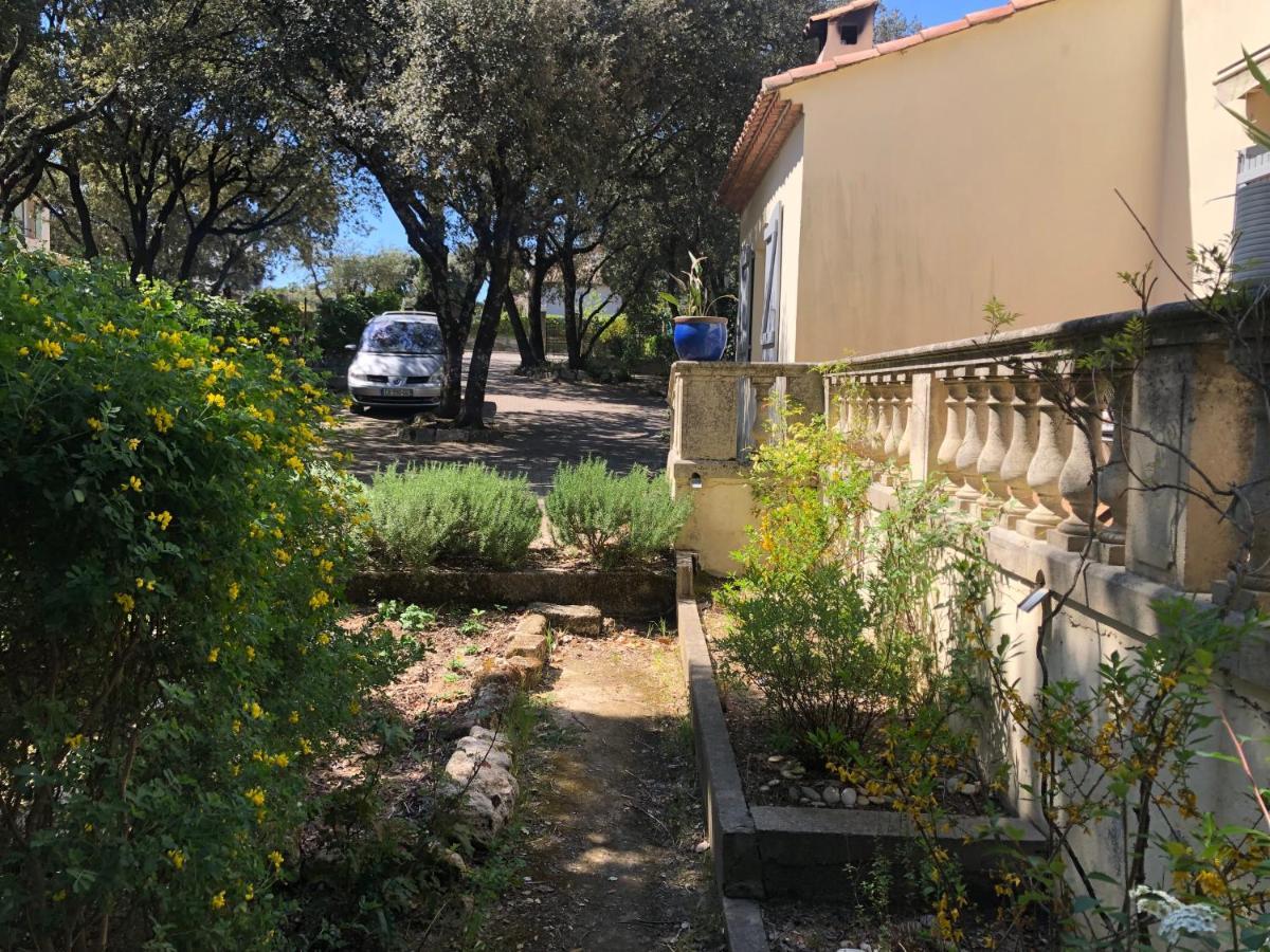 Magnifique Demeure Familiale Βίλα Castries Εξωτερικό φωτογραφία