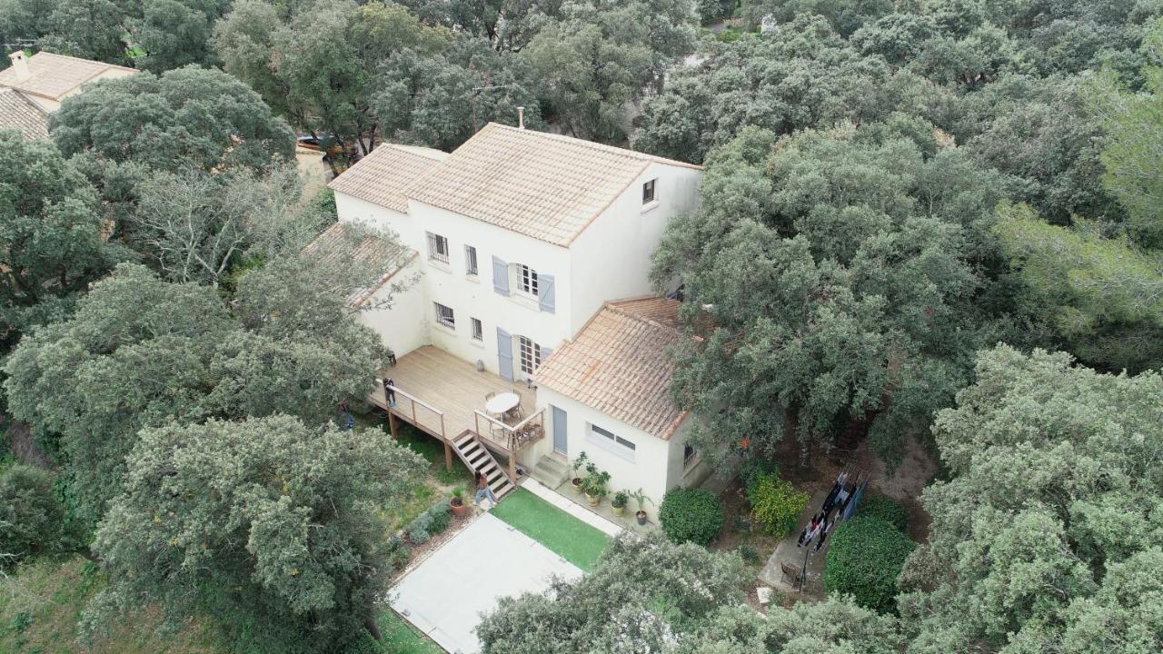 Magnifique Demeure Familiale Βίλα Castries Εξωτερικό φωτογραφία